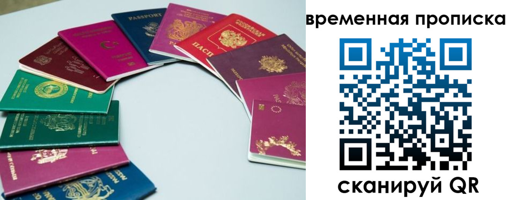 найти адрес прописки в Черноголовке